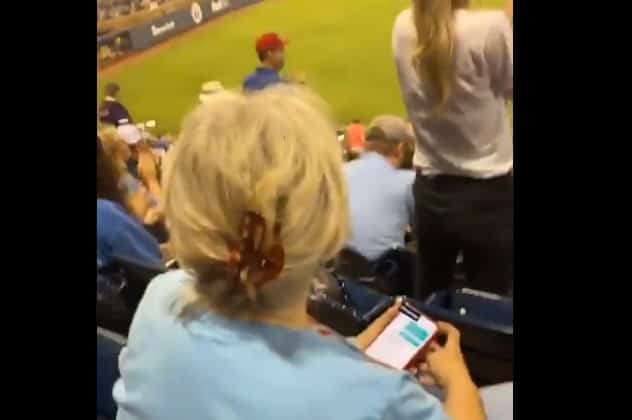 Grandma caught sexting at a baseball game by a fellow fan NSFW screenshots