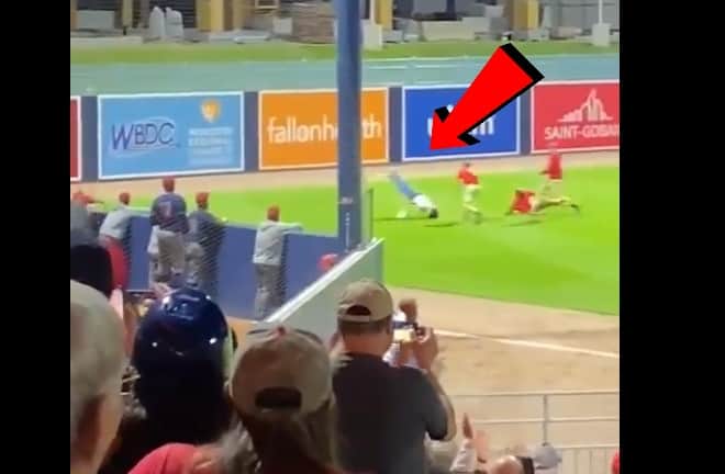 Streaker at Red Minor League Affiliate Game Got Wrecked By Security Guard