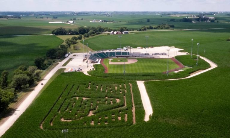 Corn Maze